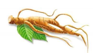 Ginseng verbessert die Potenz nach 50 Jahren