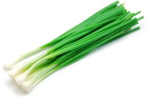 Zwiebel