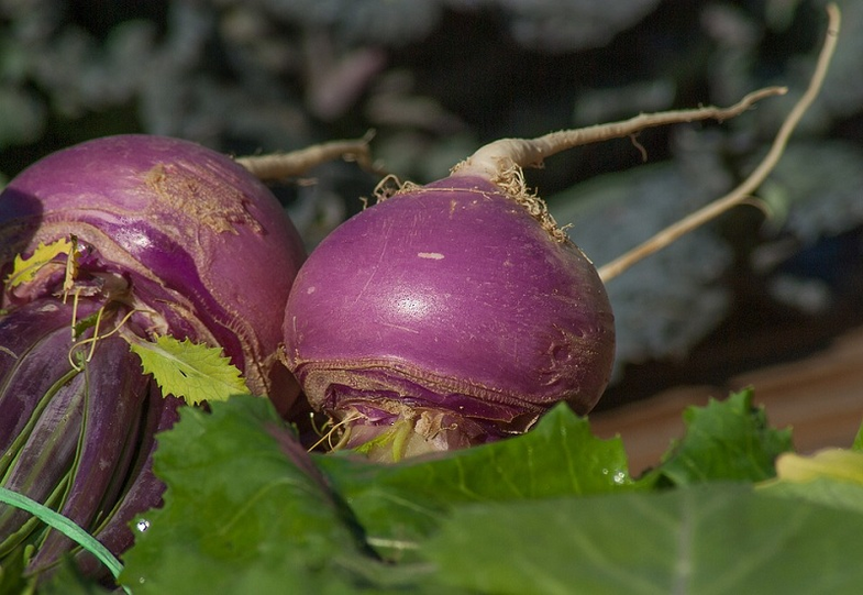 Turnip für Potenz